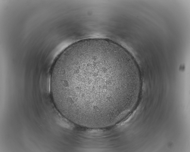 X0000092081171200709191219