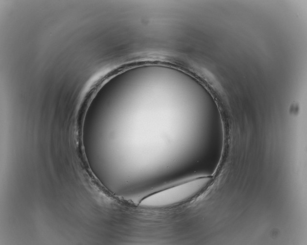 X0000092081172200709191219