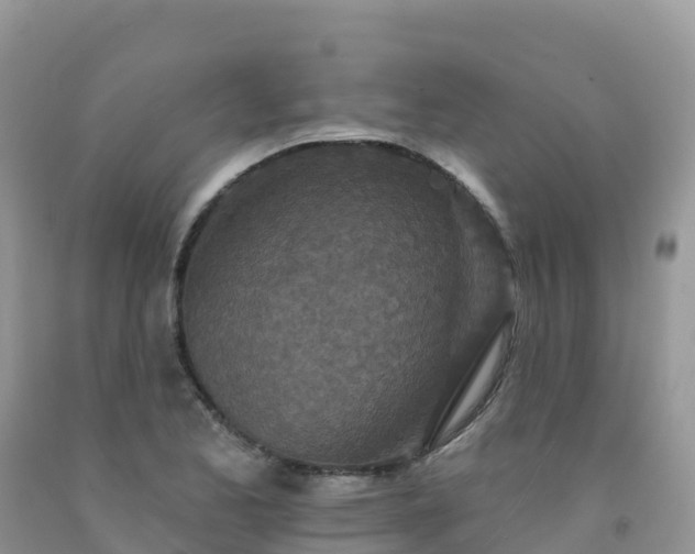 X0000092081173200709191219