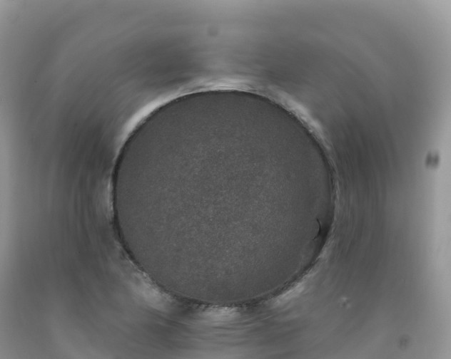 X0000092081174200709191219