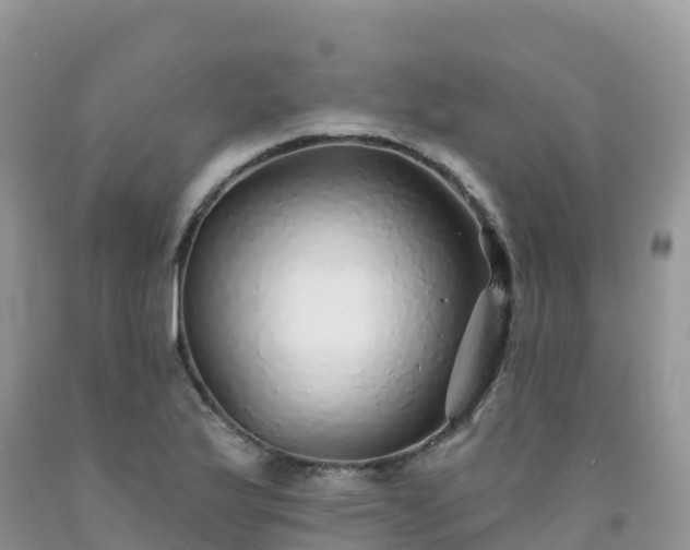 X0000092081175200709191219