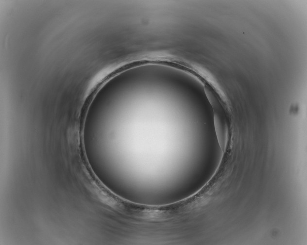 X0000092081176200709191219