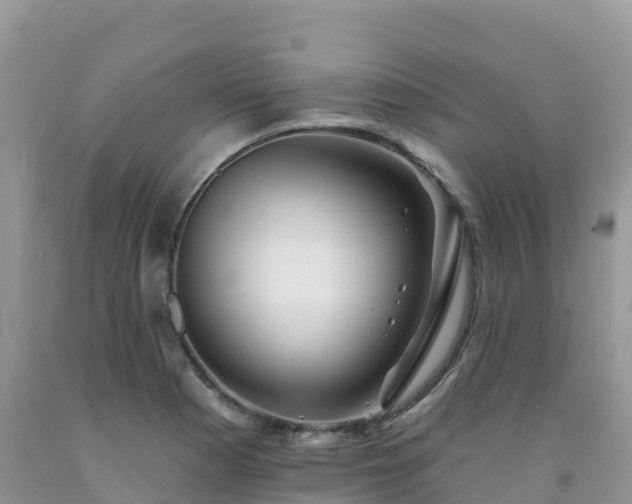 X0000092081177200709191219