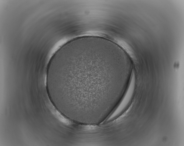 X0000092081180200709191218