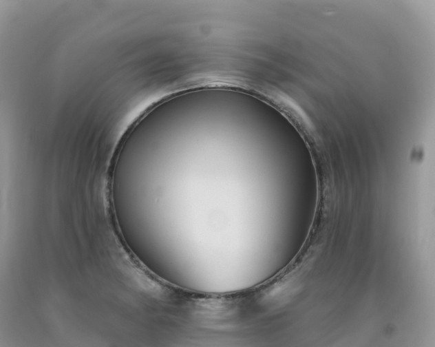 X0000092081182200709191218