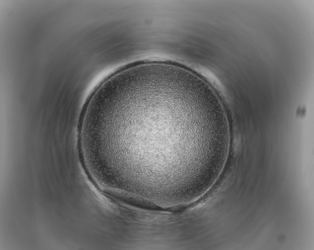 X0000092081183200709191218
