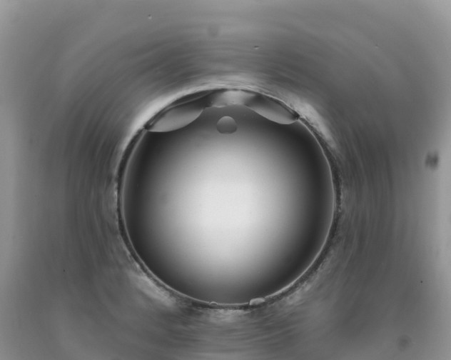 X0000092081184200709191218