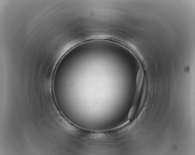 X0000092081186200709191218