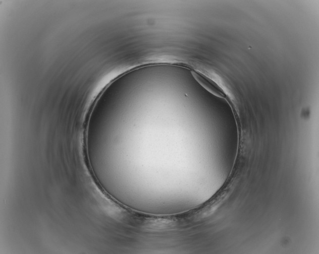 X0000092081187200709191218