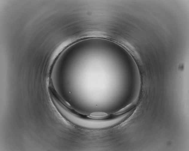 X0000092081188200709191218