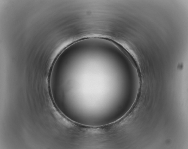 X0000092081189200709191218