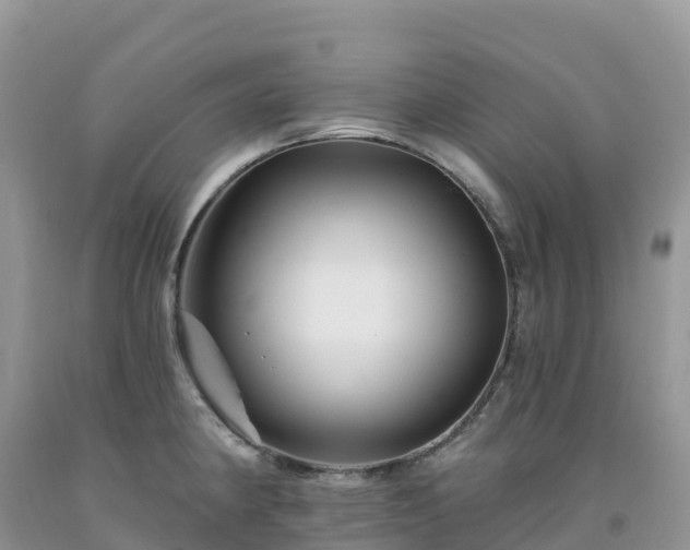 X0000092081190200709191218