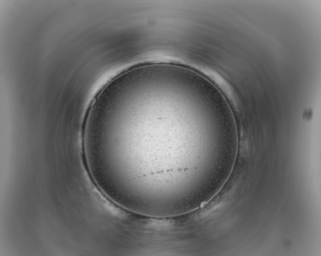 X0000092081191200709191218