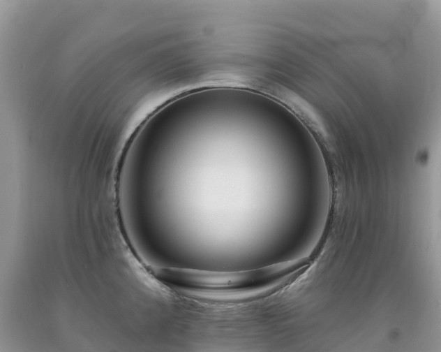 X0000092081192200709191218