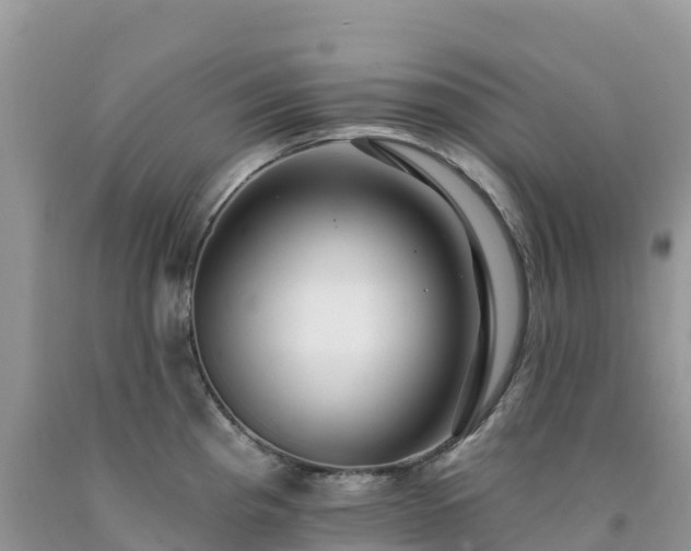 X0000092081193200709191218
