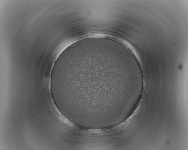 X0000092081194200709191218