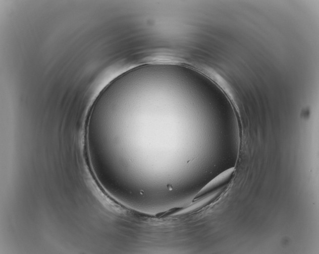 X0000092081195200709191218