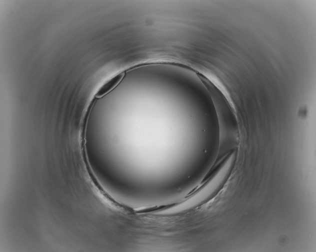 X0000092081197200709191218