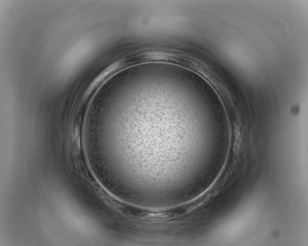 X0000092081198200709191218
