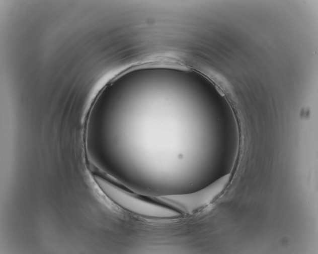 X0000092081200200709191218