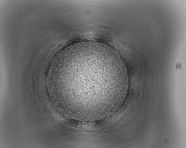 X0000092081201200709191218