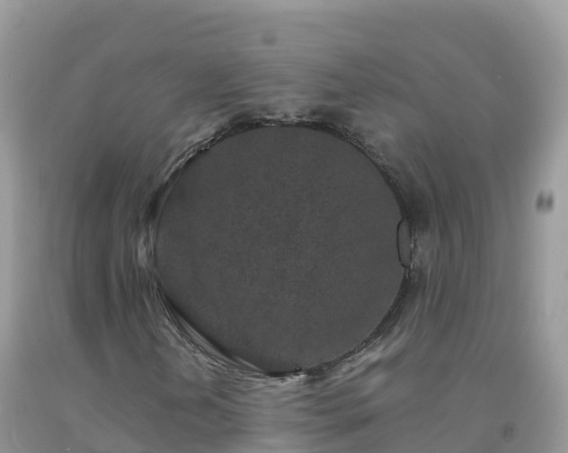 X0000092081202200709191218