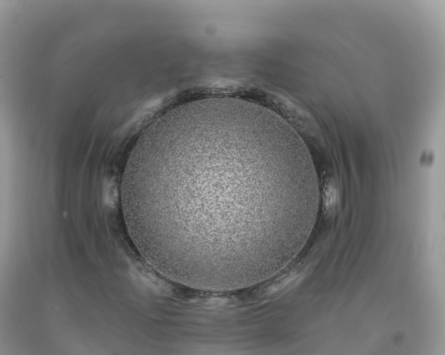 X0000092081204200709191218