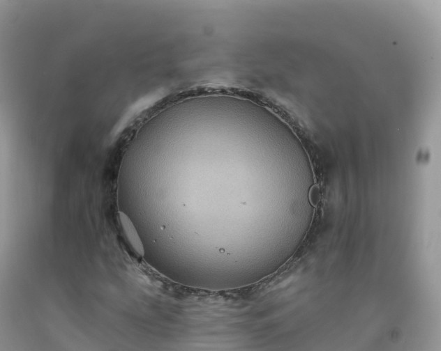 X0000092081207200709191218