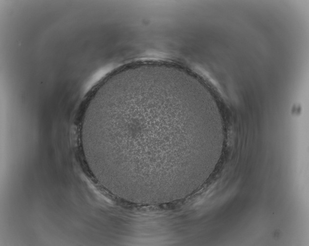 X0000092081208200709191218