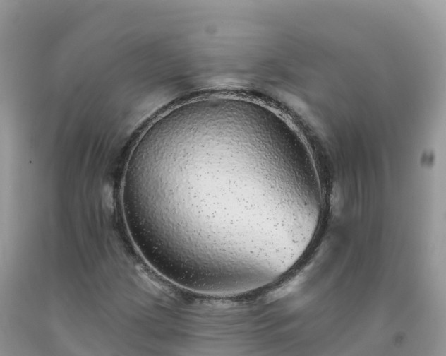 X0000092081209200709191218