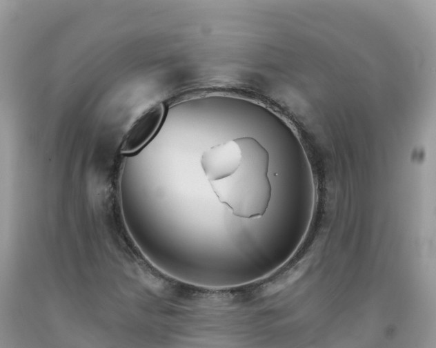 X0000092081210200709191218