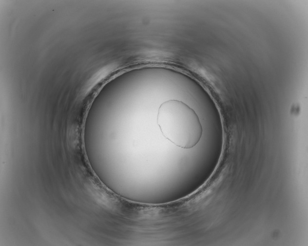 X0000092081211200709191218