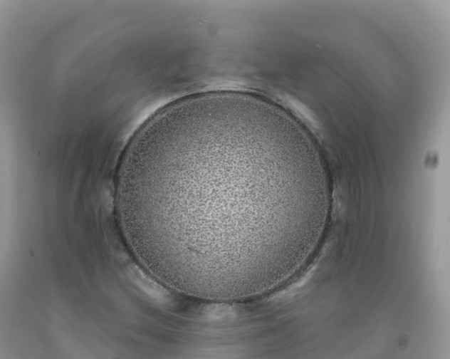 X0000092081212200709191218