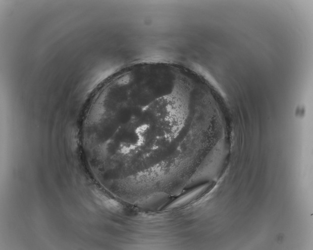 X0000092081213200709191218
