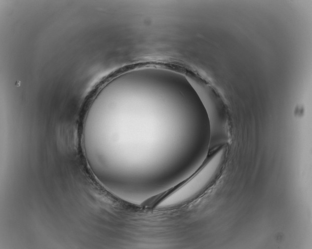X0000092081214200709191218