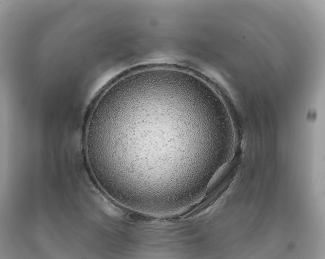 X0000092081216200709191218