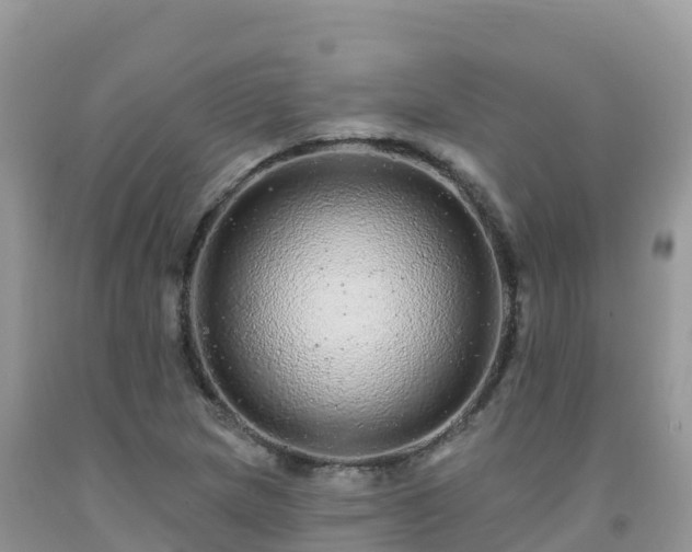 X0000092081217200709191218