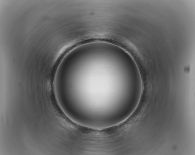 X0000092081218200709191218