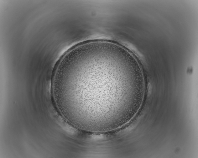 X0000092081220200709191218