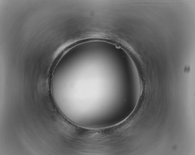X0000092081222200709191218