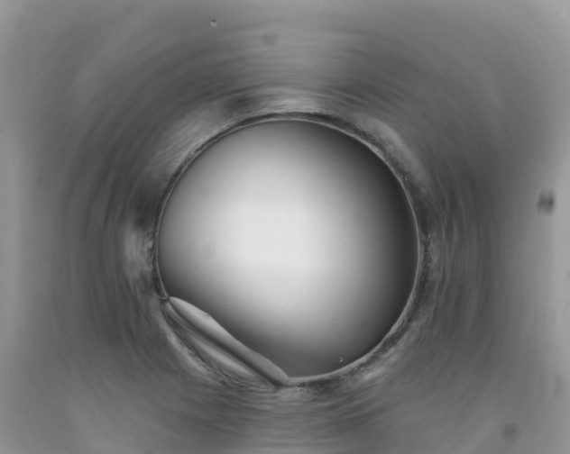 X0000092081225200709191218