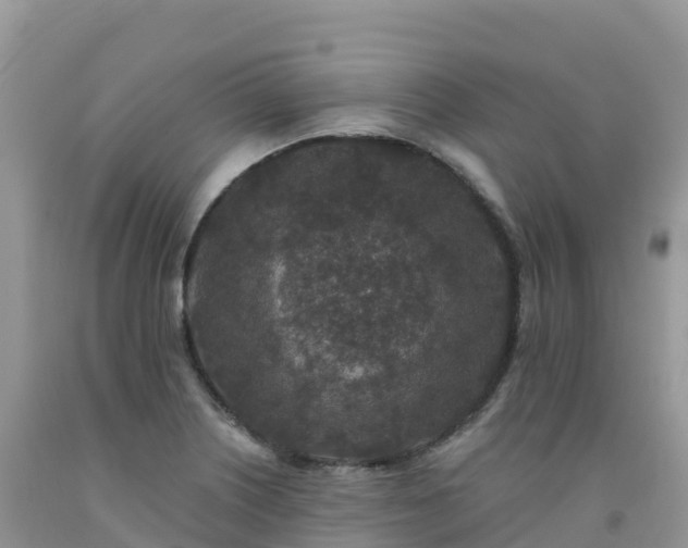X0000092081226200709191218