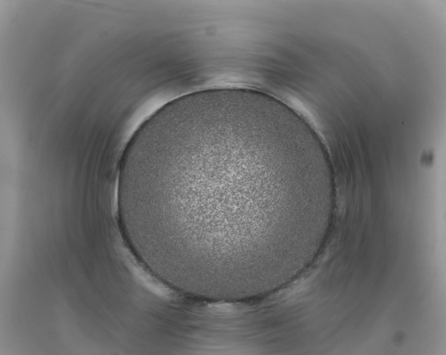 X0000092081227200709191218