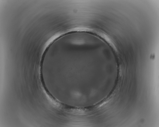 X0000092081229200709191218