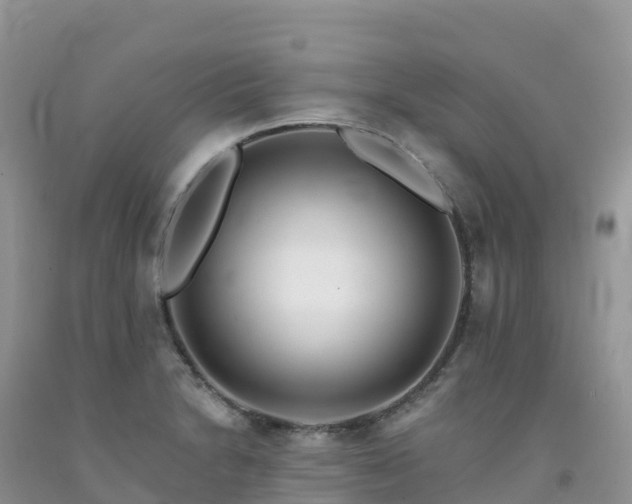 X0000092081230200709191218