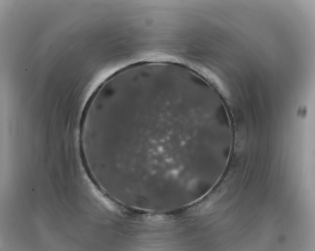 X0000092081231200709191218