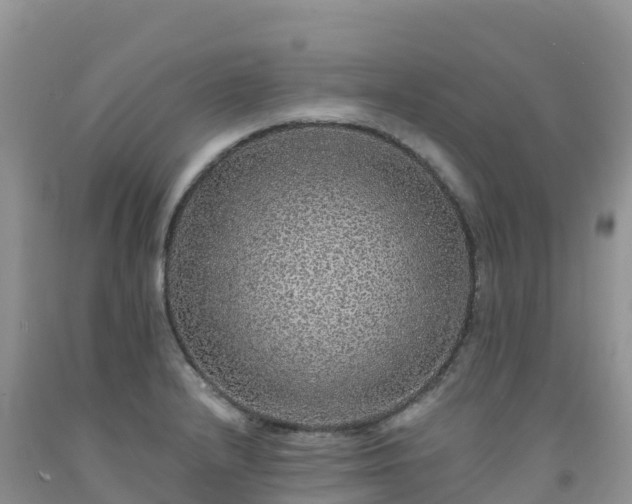 X0000092081232200709191218