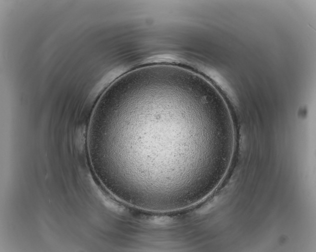X0000092081233200709191218