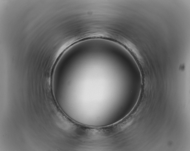 X0000092081234200709191218