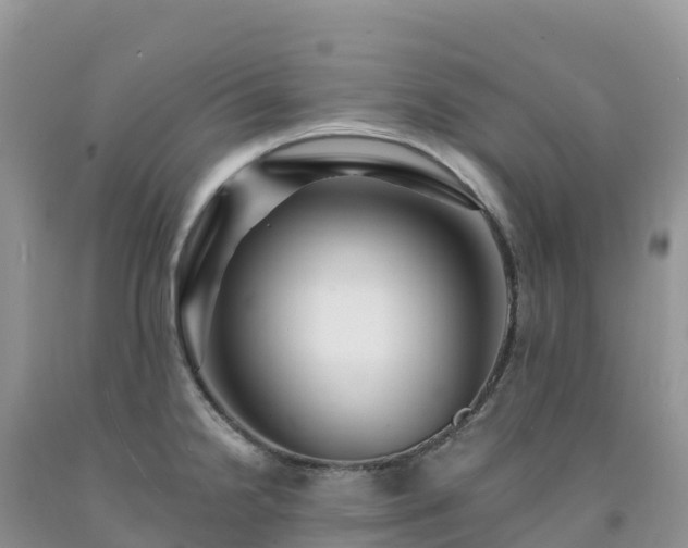 X0000092081238200709191218